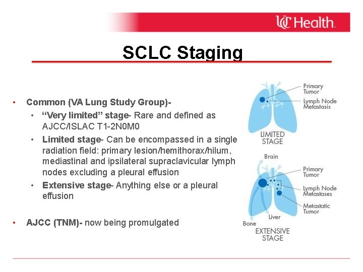 SCLC Staging • Common (VA Lung Study Group) • “Very limited” stage- Rare and