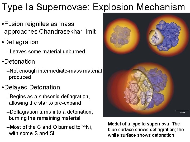 Type Ia Supernovae: Explosion Mechanism • Fusion reignites as mass approaches Chandrasekhar limit •