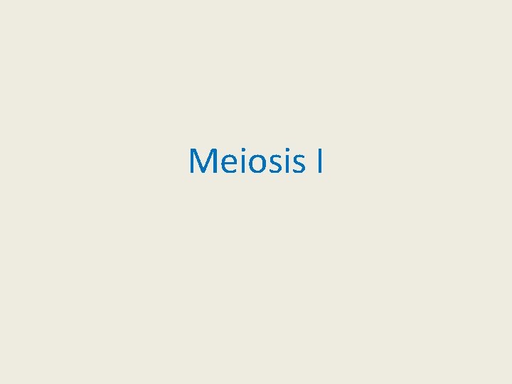 Meiosis I 
