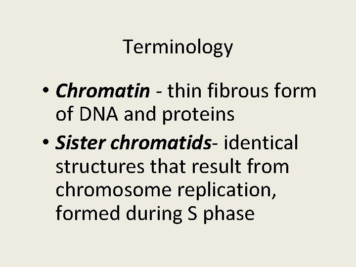 Terminology • Chromatin - thin fibrous form of DNA and proteins • Sister chromatids-