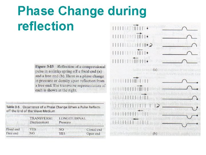 Phase Change during reflection 