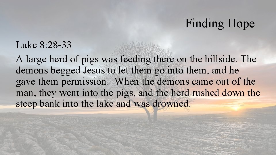 Finding Hope Luke 8: 28 -33 A large herd of pigs was feeding there