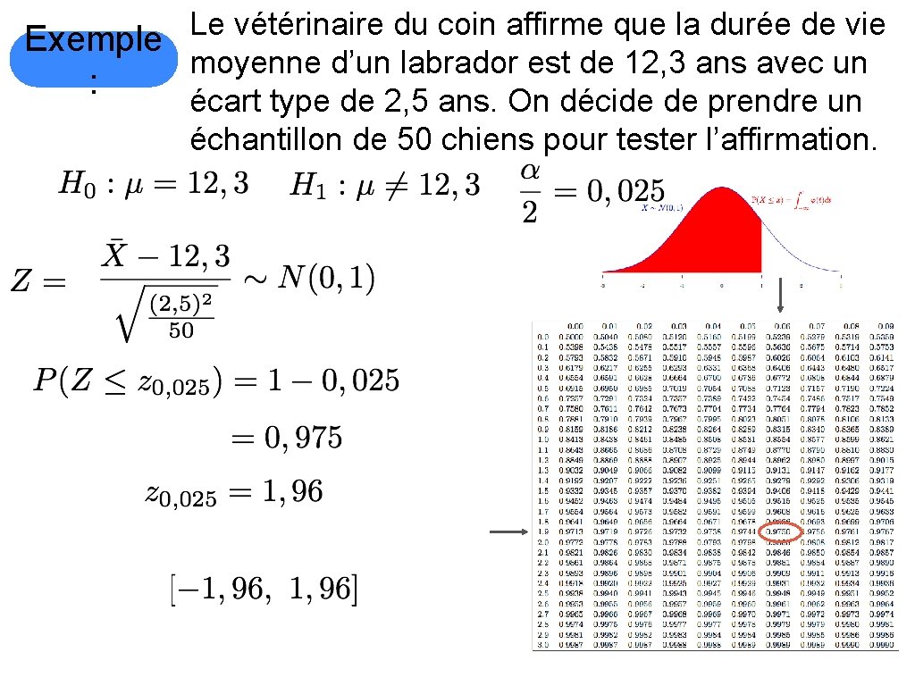 Le vétérinaire du coin affirme que la durée de vie Exemple moyenne d’un labrador