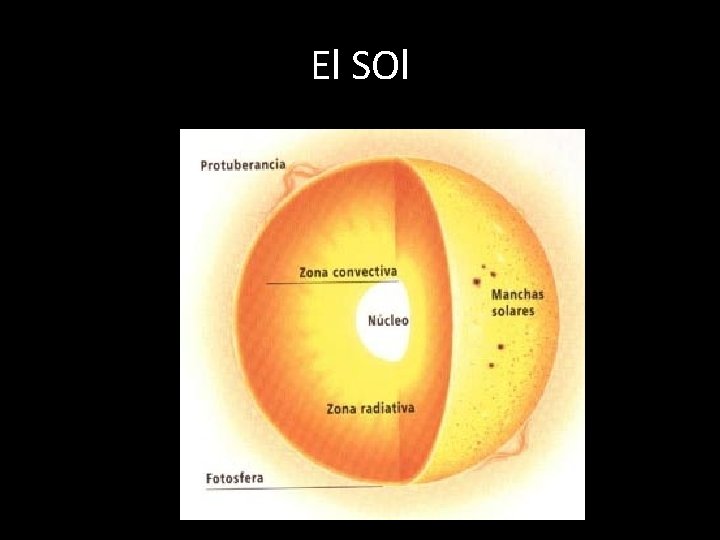 El SOl 