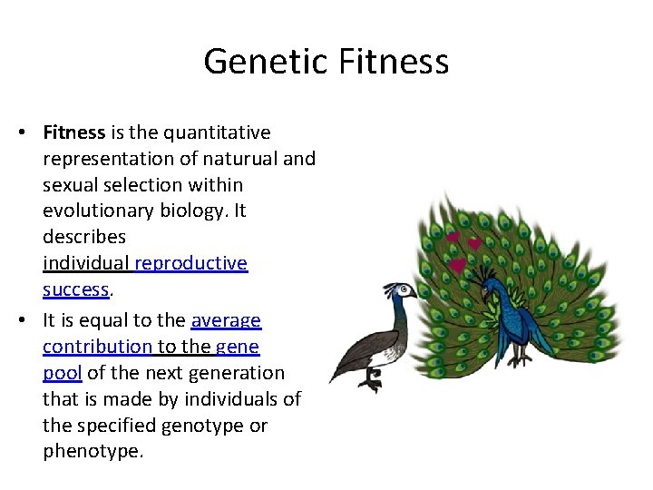 Genetic Fitness • Fitness is the quantitative representation of naturual and sexual selection within