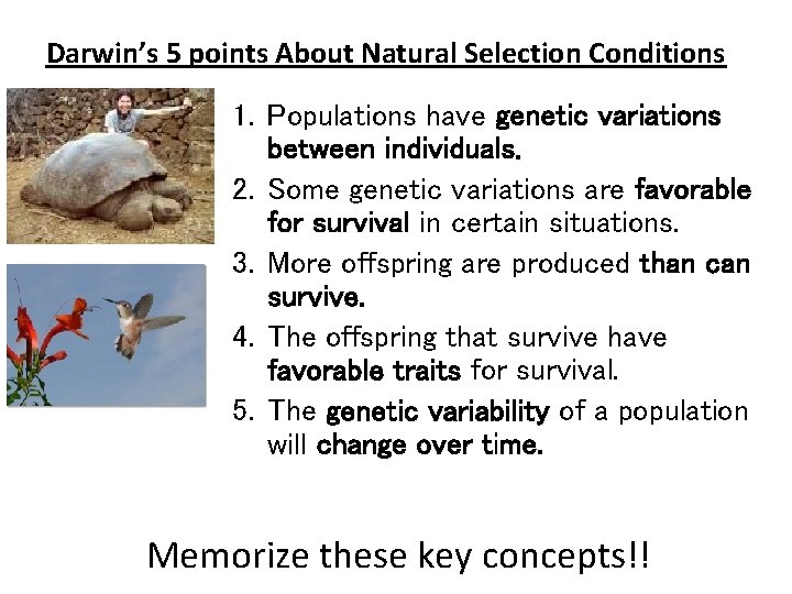 Darwin’s 5 points About Natural Selection Conditions 1. Populations have genetic variations between individuals.
