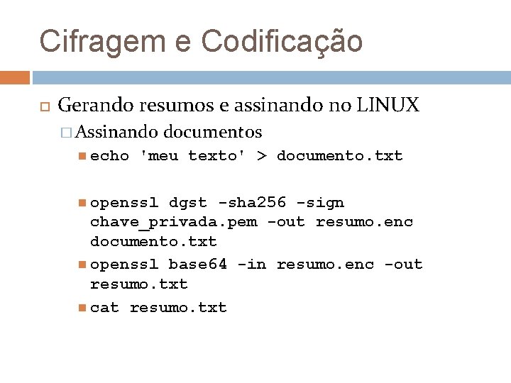 Cifragem e Codificação Gerando resumos e assinando no LINUX � Assinando echo documentos 'meu