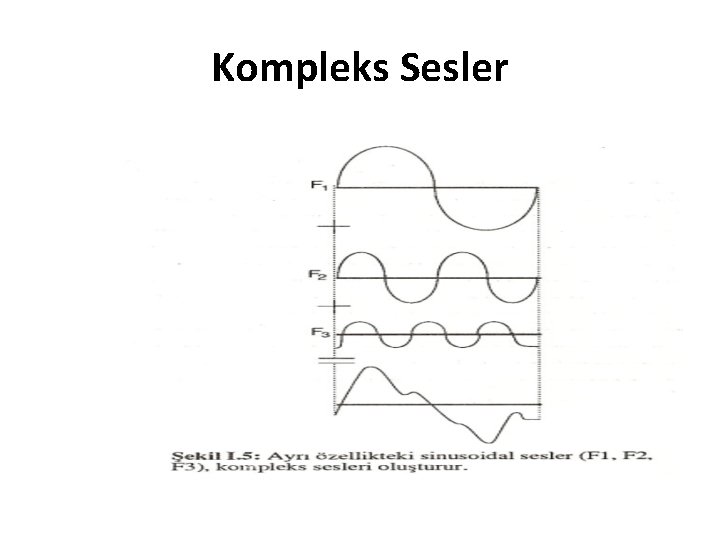 Kompleks Sesler 