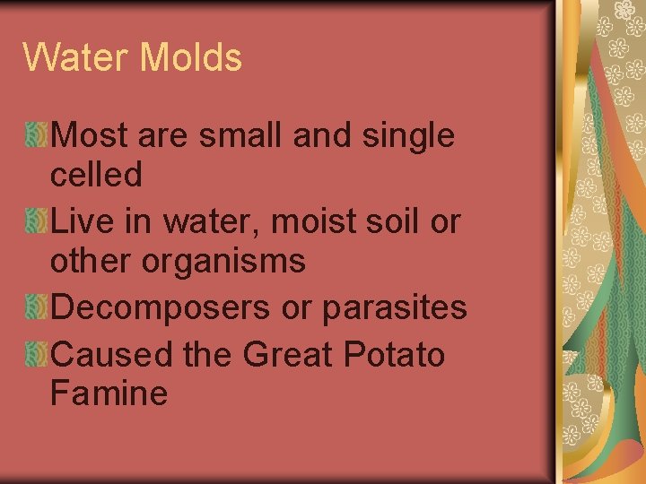 Water Molds Most are small and single celled Live in water, moist soil or