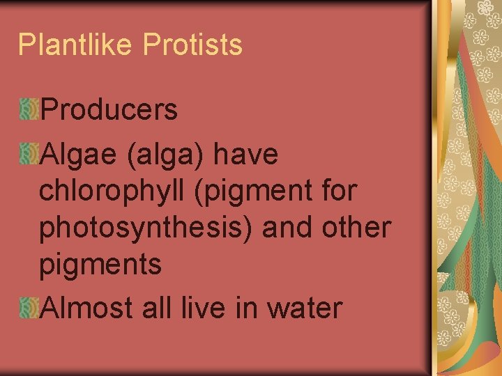 Plantlike Protists Producers Algae (alga) have chlorophyll (pigment for photosynthesis) and other pigments Almost