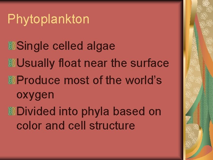 Phytoplankton Single celled algae Usually float near the surface Produce most of the world’s