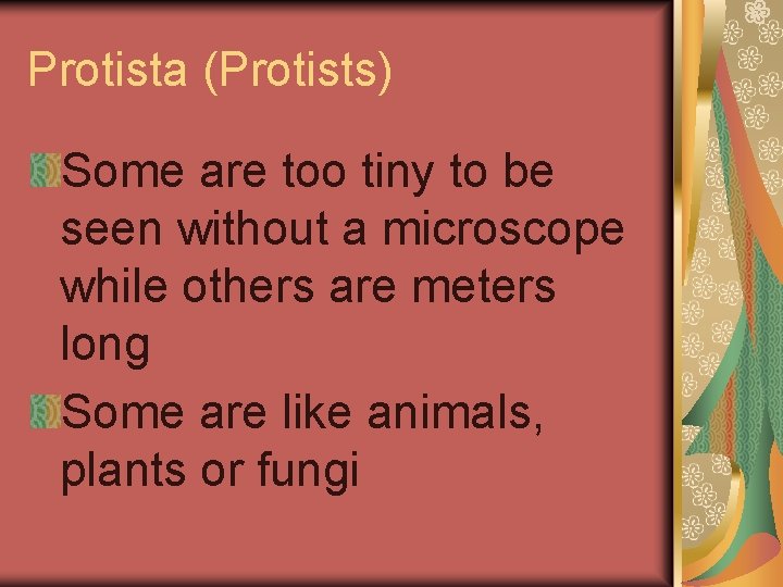 Protista (Protists) Some are too tiny to be seen without a microscope while others