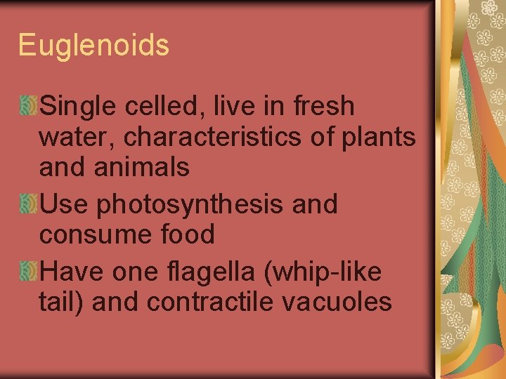 Euglenoids Single celled, live in fresh water, characteristics of plants and animals Use photosynthesis