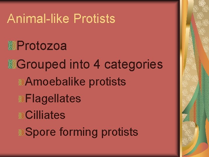 Animal-like Protists Protozoa Grouped into 4 categories Amoebalike protists Flagellates Cilliates Spore forming protists