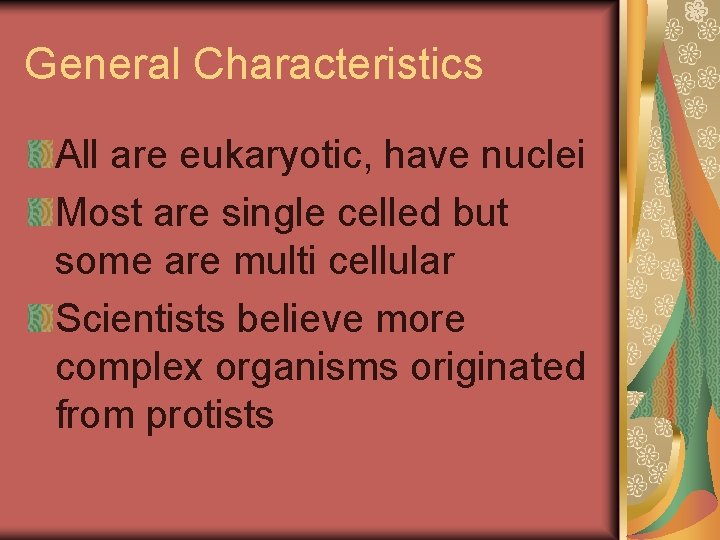 General Characteristics All are eukaryotic, have nuclei Most are single celled but some are