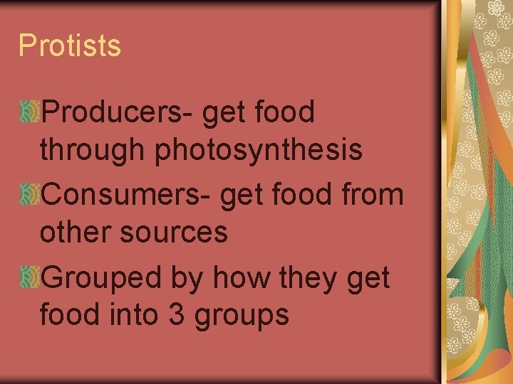 Protists Producers- get food through photosynthesis Consumers- get food from other sources Grouped by