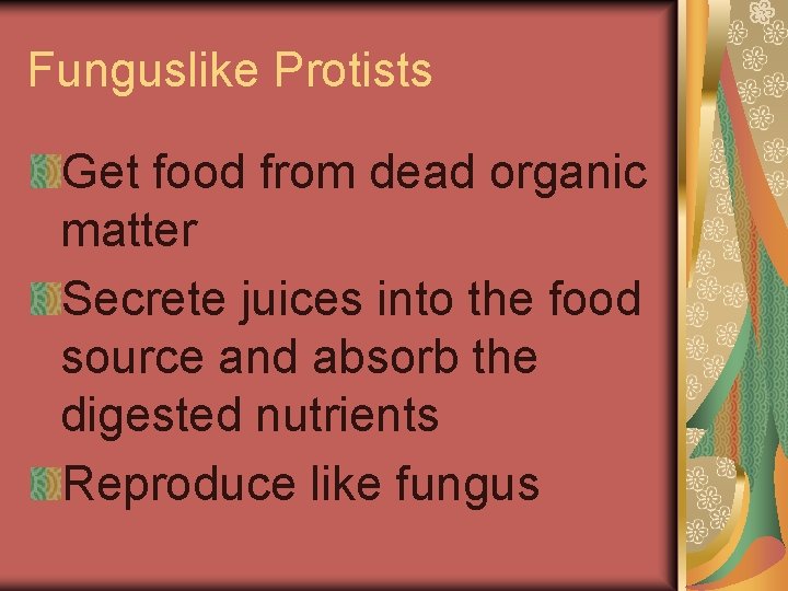 Funguslike Protists Get food from dead organic matter Secrete juices into the food source