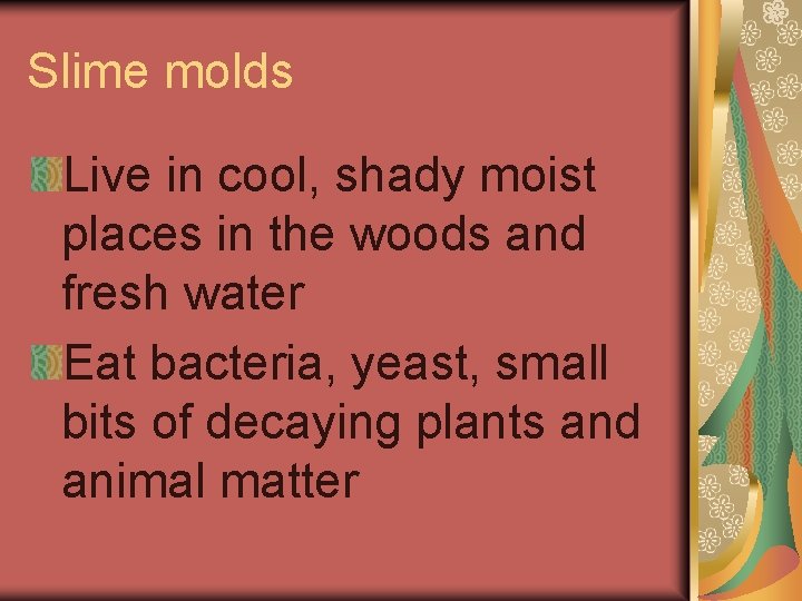 Slime molds Live in cool, shady moist places in the woods and fresh water