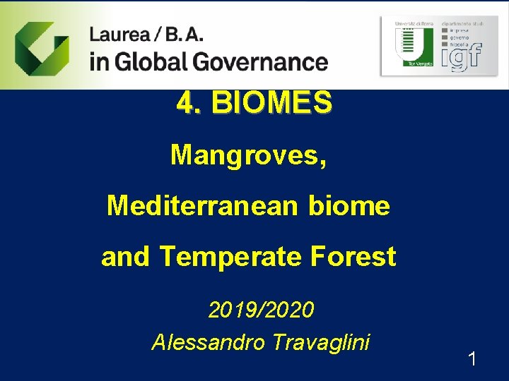 4. BIOMES Mangroves, Mediterranean biome and Temperate Forest 2019/2020 Alessandro Travaglini 1 