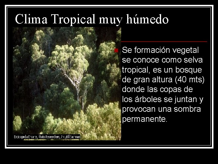 Clima Tropical muy húmedo n Se formación vegetal se conoce como selva tropical, es