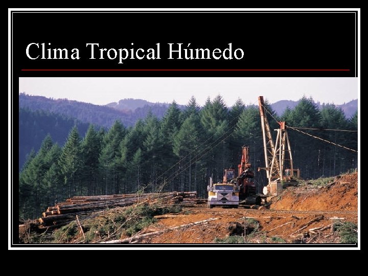 Clima Tropical Húmedo 