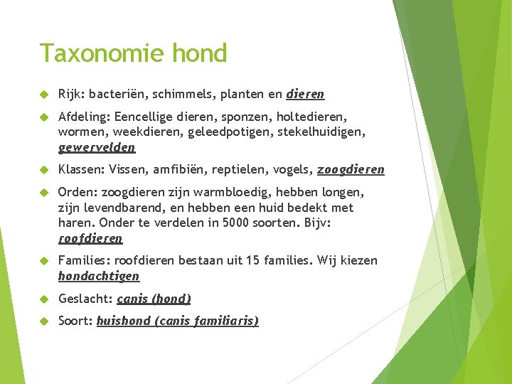 Taxonomie hond Rijk: bacteriën, schimmels, planten en dieren Afdeling: Eencellige dieren, sponzen, holtedieren, wormen,