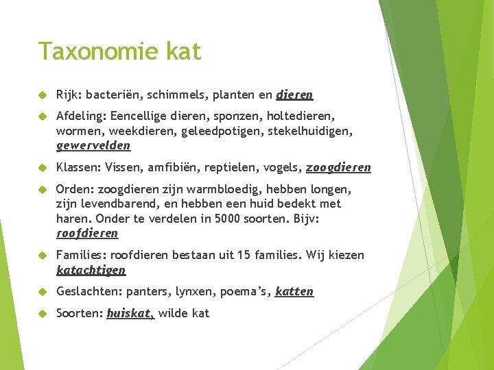 Taxonomie kat Rijk: bacteriën, schimmels, planten en dieren Afdeling: Eencellige dieren, sponzen, holtedieren, wormen,