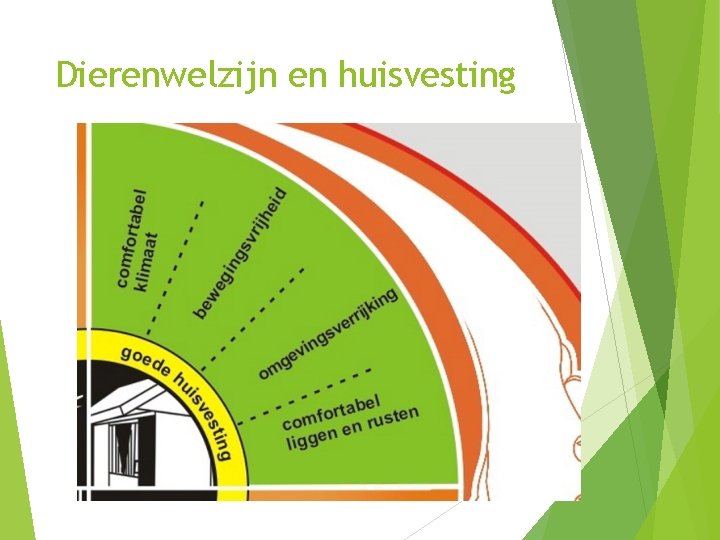 Dierenwelzijn en huisvesting 