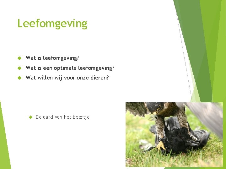 Leefomgeving Wat is leefomgeving? Wat is een optimale leefomgeving? Wat willen wij voor onze