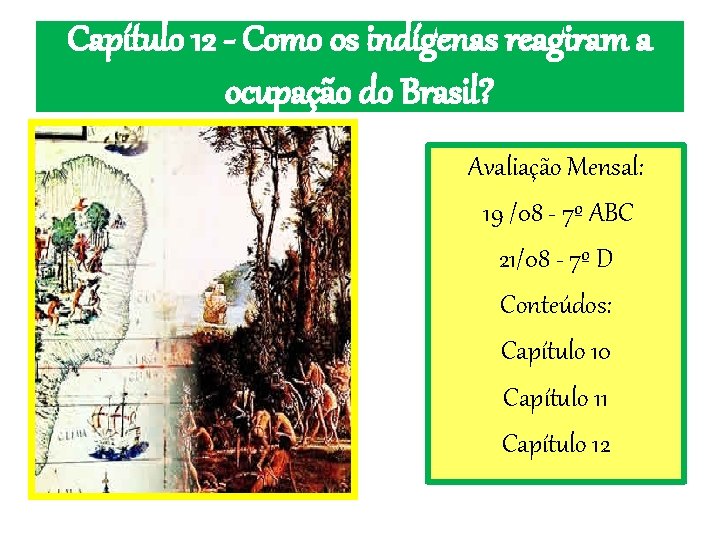 Capítulo 12 - Como os indígenas reagiram a ocupação do Brasil? Avaliação Mensal: 19