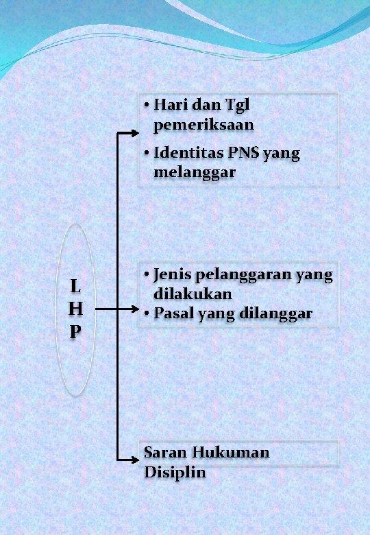  • Hari dan Tgl pemeriksaan • Identitas PNS yang melanggar L H P