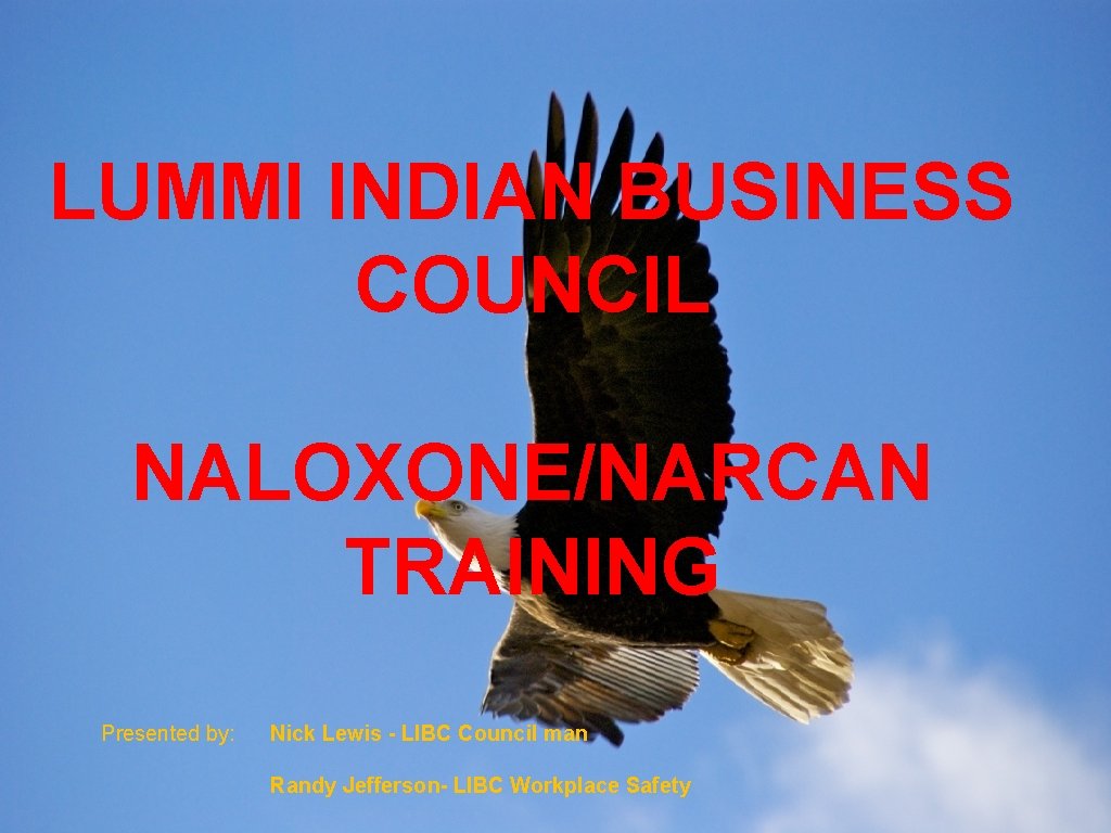 LUMMI INDIAN BUSINESS COUNCIL NALOXONE/NARCAN TRAINING Presented by: Nick Lewis - LIBC Council man