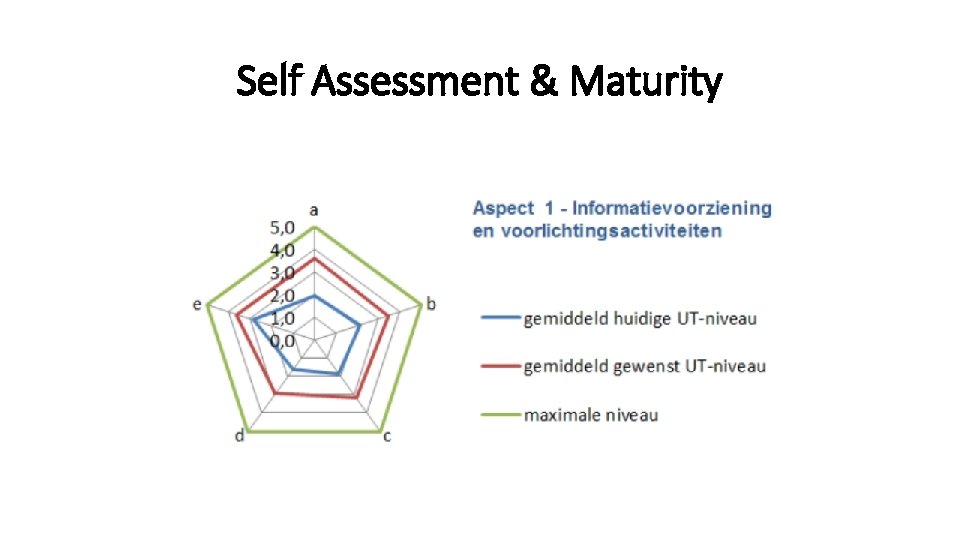 Self Assessment & Maturity 