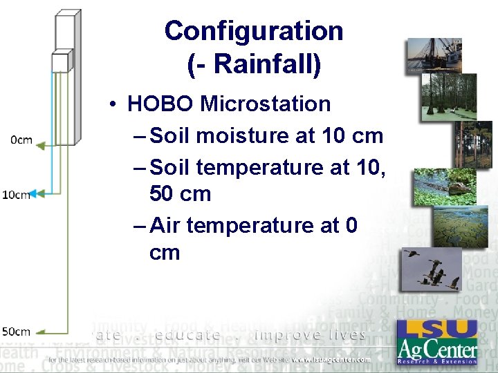 Configuration (- Rainfall) • HOBO Microstation – Soil moisture at 10 cm – Soil