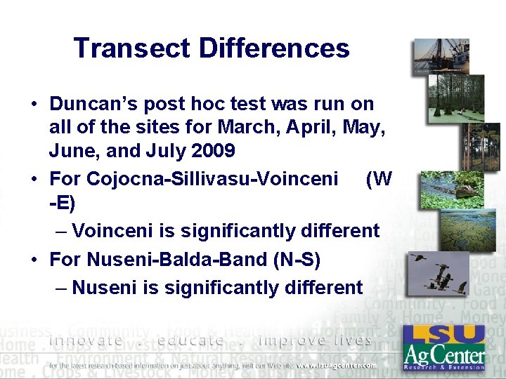 Transect Differences • Duncan’s post hoc test was run on all of the sites