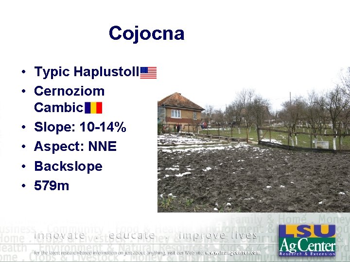 Cojocna • Typic Haplustoll • Cernoziom Cambic • Slope: 10 -14% • Aspect: NNE