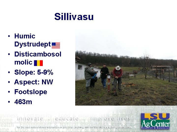 Sillivasu • Humic Dystrudept • Disticambosol molic • Slope: 5 -9% • Aspect: NW