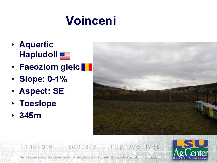 Voinceni • Aquertic Hapludoll • Faeoziom gleic • Slope: 0 -1% • Aspect: SE