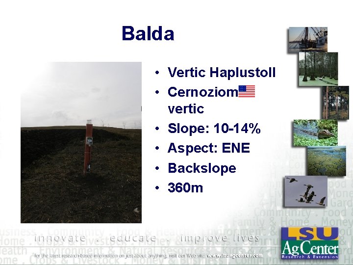 Balda • Vertic Haplustoll • Cernoziom vertic • Slope: 10 -14% • Aspect: ENE