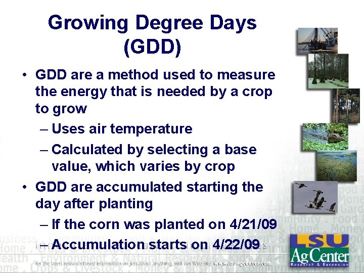 Growing Degree Days (GDD) • GDD are a method used to measure the energy