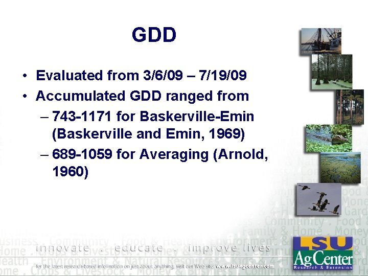 GDD • Evaluated from 3/6/09 – 7/19/09 • Accumulated GDD ranged from – 743