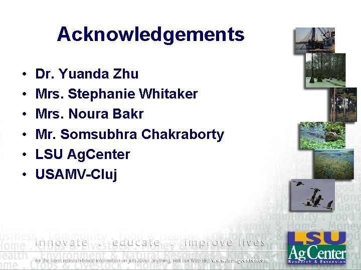 Acknowledgements • • • Dr. Yuanda Zhu Mrs. Stephanie Whitaker Mrs. Noura Bakr Mr.