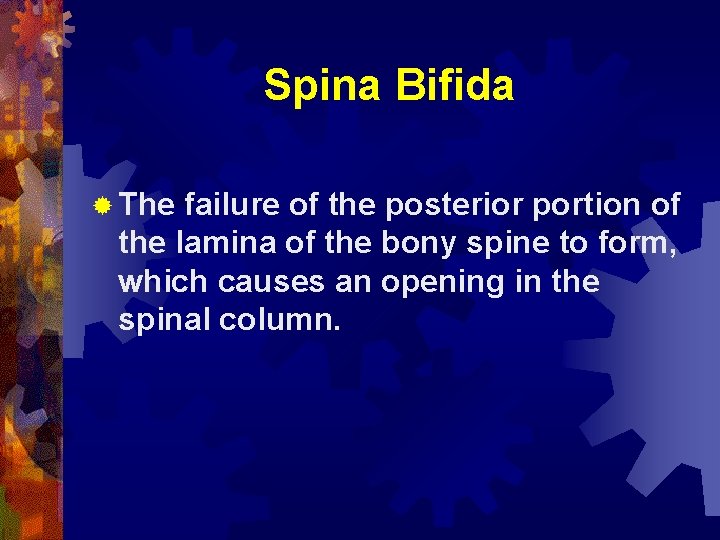 Spina Bifida ® The failure of the posterior portion of the lamina of the