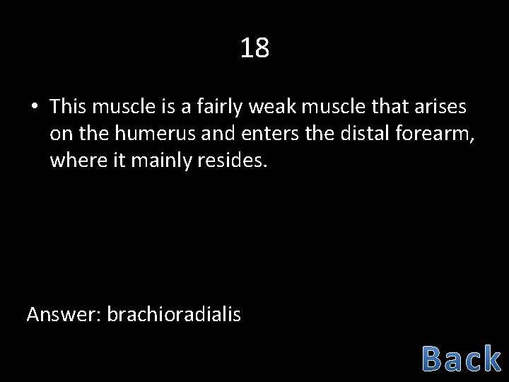 18 • This muscle is a fairly weak muscle that arises on the humerus