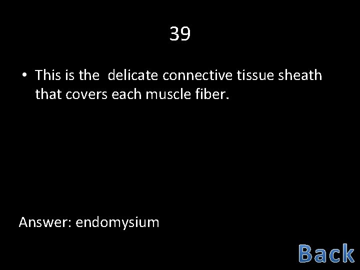 39 • This is the delicate connective tissue sheath that covers each muscle fiber.