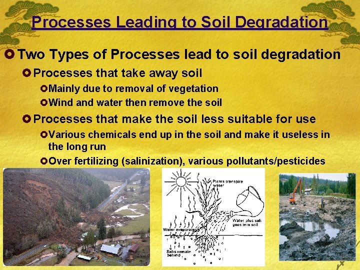 Processes Leading to Soil Degradation £ Two Types of Processes lead to soil degradation