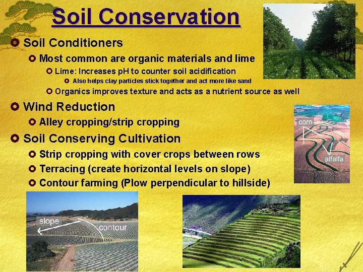 Soil Conservation £ Soil Conditioners £ Most common are organic materials and lime £