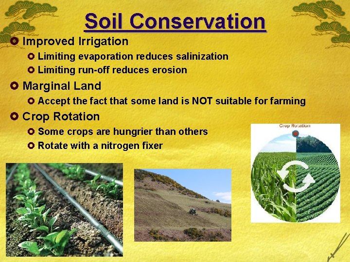 Soil Conservation £ Improved Irrigation £ Limiting evaporation reduces salinization £ Limiting run-off reduces