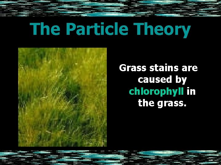 The Particle Theory Grass stains are caused by chlorophyll in the grass. 