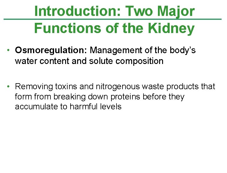 Introduction: Two Major Functions of the Kidney • Osmoregulation: Management of the body’s water Introduction: Two Major Functions of the Kidney • Osmoregulation: Management of the body’s water